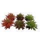 TD - Sedum Plants - 13cm (6pk)