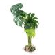 TD - Monstera Plant S - 28cm (3pk)