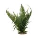 TD - Green Fern M - 22.5cm (4pk)