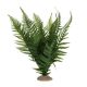 TD - Green Fern Plant L - 34cm (2pk)