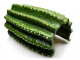 GiganT Cactus Cave 474 - 24.3x16x12cm