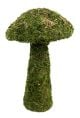 Galapagos Mossy Mushroom Large 21