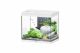 Splendid 60 Aquarium White