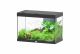 Splendid 80 Aquarium Black