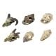 AD Counter Display - Mini Skulls 12 Pack
