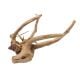 AD Natural Wood - Pulido 30-43cm