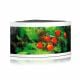 Juwel Trigon 350 Aquarium White