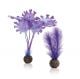 biOrb Kelp Set (S) Purple 46079