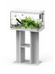 Explorer Paris / Vienna Stand White