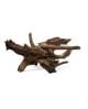 Sinknature Bogwood XXL 60-80cm