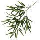 TD Hanging Plant Bamboo Green PACK OF 6