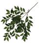 TD Hanging Plant Banyan Green PACK OF 6
