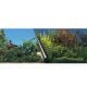 AquaDella Background M Beauty/Sea 80x40