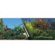 AquaDella Background L Beauty/Sea 120x50