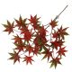TD Hanging Plant Cannabis Red PACK OF 6