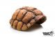 GiganT Turtle Shell Cave 483 15x12x7.5cm