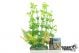 GiganAqua Plant With Base 24cm - 552