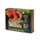 Galapagos Betta Freshwater Starter Kit