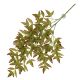 TD Hanging Plant Nandina L.Green PACK 6