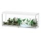Splendid 150 White + External