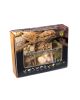 Galapagos Terrarium Kit Arid