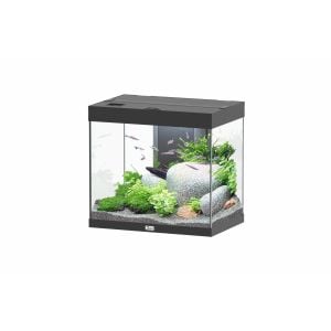 Splendid 60 Aquarium Black
