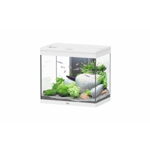 Splendid 60 Aquarium White