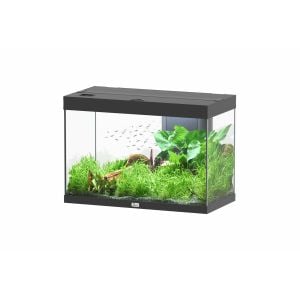 Splendid 80 Aquarium Black