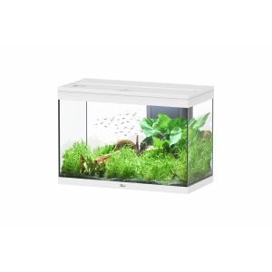 Splendid 80 Aquarium White