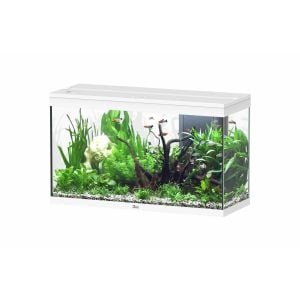 Splendid 100 Aquarium White