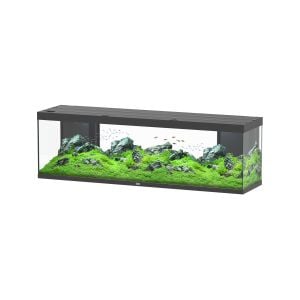 Splendid 200 Black+External Filter